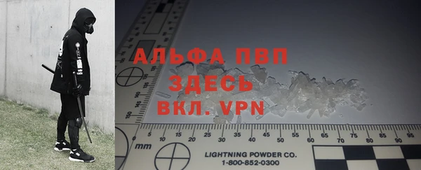 прущие грибы Верея