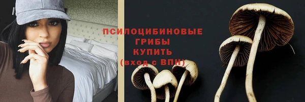 крисы Волосово