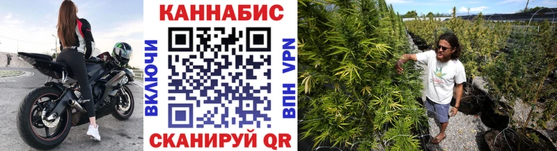 Бошки Шишки White Widow где можно купить наркотик кракен ссылки Ворсма